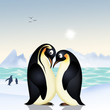 illustration of penguins couple