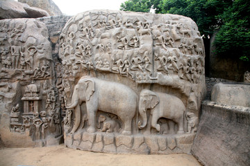 Arjuna´s Buße, Elefantenrelief, Mahabalipuram