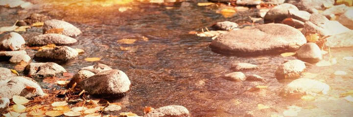 River with pebble stones on a sunny day