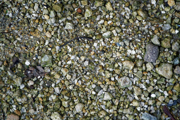 Pebble surface, stone texture rock backdrop