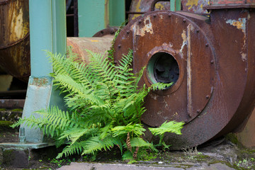 Verlassene Industrie