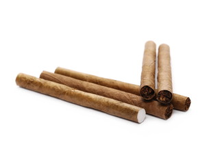 Cigarillos isolated on white background