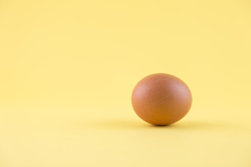 egg on yellow background