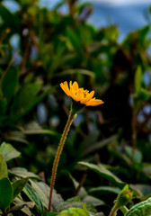 Stand Out