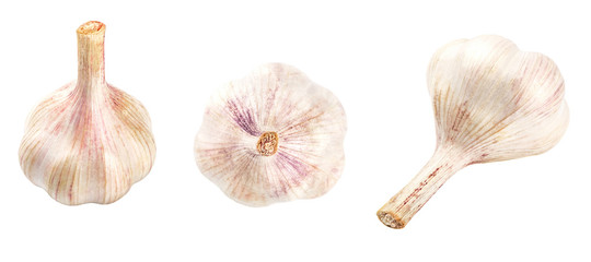 Collection of fresh garlic isolated on white