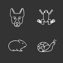 Pets chalk icons set