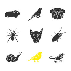 Obraz premium Pets glyph icons set
