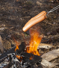 Campfire hot dogs