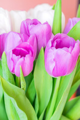 closeup of white and purple tulips bouquet