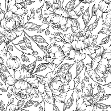 Peony flower seamless pattern drawing. Vector hand drawn engrave