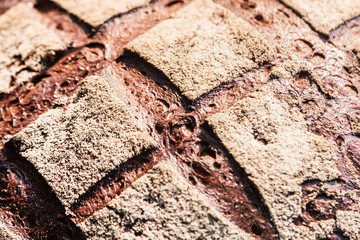 freshly baked bread crust background. Bakery