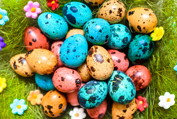 Easter colored quail eggs on green grass, flowers and on white wooden background.Top view.Flat lay.Happy easter holiday.
