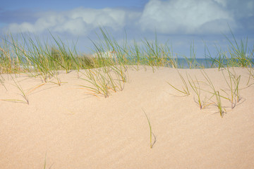 plage sous le soleil