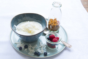 Joghurt  
mit Kokosflocken