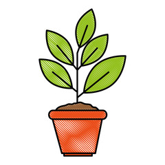 house plant in pot ecology icon vector illustration design