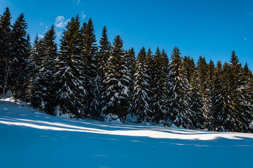 Beautiful mountain Igman