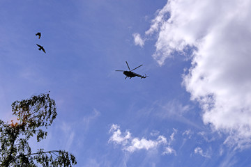 Helicopter and two pigeons in the blue sky