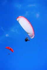 Paragliding over the ocean on the island of Bali. The blue sky shimmers with the blue ocean. The parasutists fly high above the precipice like birds. Aerial view with copy space