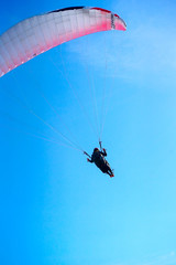 Paragliding over the ocean on the island of Bali. The blue sky shimmers with the blue ocean. The parasutists fly high above the precipice like birds. Aerial view with copy space