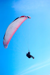 Paragliding over the ocean on the island of Bali. The blue sky shimmers with the blue ocean. The parasutists fly high above the precipice like birds. Aerial view with copy space