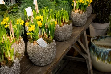 Fotobehang Yellow Narcis Flower Bloom In A Jar Summer Sun © Jacco