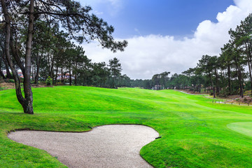 a fragment golf course with sand bunker in the pine forest