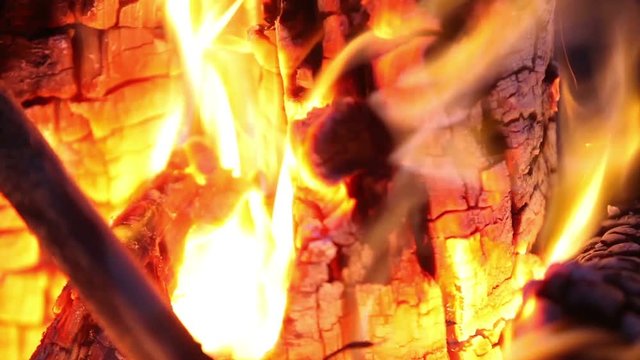 Campfire In The Night. Time Lapse. Burning logs in orange flames closeup. Background of the fire. Beautiful fire burns brightly. Embers of the fire climb up. Red flames surging up