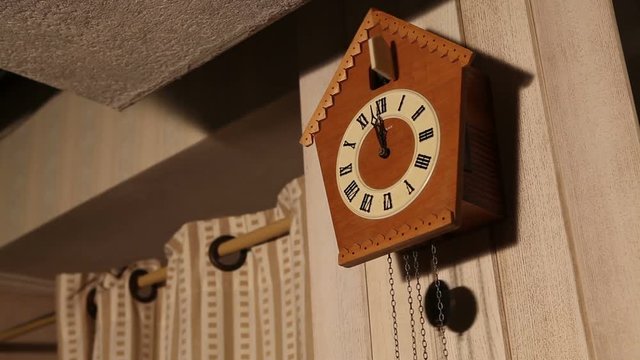Cuckoo clock, old cuckoo clock on the wall, retro clock