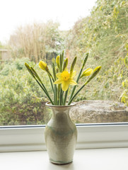 Daffodils in a green vase on a windowsill