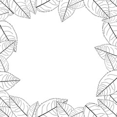 Camellia Leaves Outline Frame Border