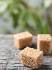 Brown cane sugar on wooden background. Green tree with leaves