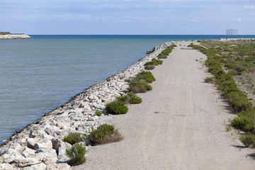 Fototapeta na wymiar Landscape, Llobregat delta, natural area, river mouth, El Prat de Llobregat, province Barcelona,Catalonia, Spain.