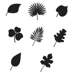 Leaves vector set
