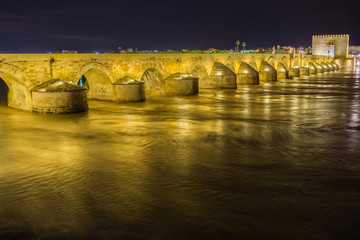 Fototapeta na wymiar puente sobre río guadalquivir con mucha agua, larga exposición de noche