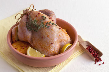 Raw chicken in the marinade with spices