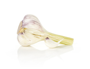 Young garlic open fresh bulb and one clove isolated on white background.