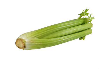 Celery, photo of edible parts on a white background