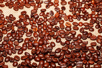 Grains of tasty roasted coffee on the background of cloth burlap