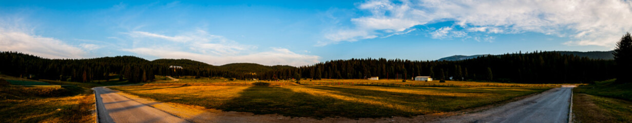 Big field on the mountain Igman