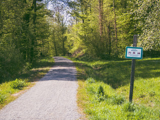 Gesperrte Strasse durch den Wald