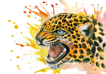 Roaring leopard head  watercolor illustration 