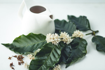 Tea flower coffee Tea in glass White background