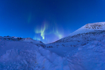 Obraz premium The polar lights in Norway. Tromso.