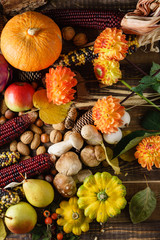 autumn harvest