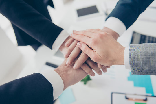 Close up cropped portrait of four elegant classic business persons, group putting their palms on top of each other in work place, station