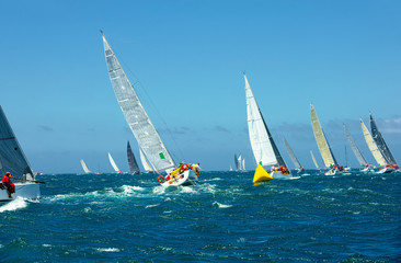 Fototapeta premium Sailing yacht race. Yachting. Sailing