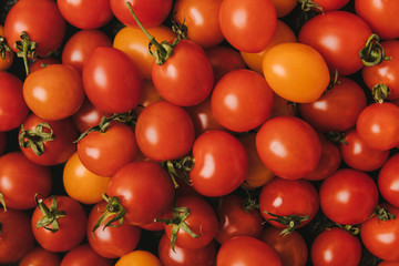top view of ripe red and orange tomatoes