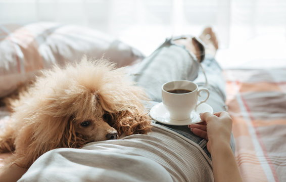 Young woman is resting with a dog on the bed at home with cup of coffee. Breakfast.