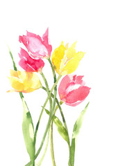 Bouquet of yellow and pink tulips. Spring flowers. Flower mood. Watercolor background.