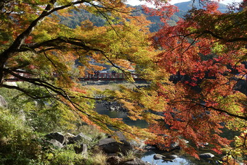 香嵐渓紅葉と橋